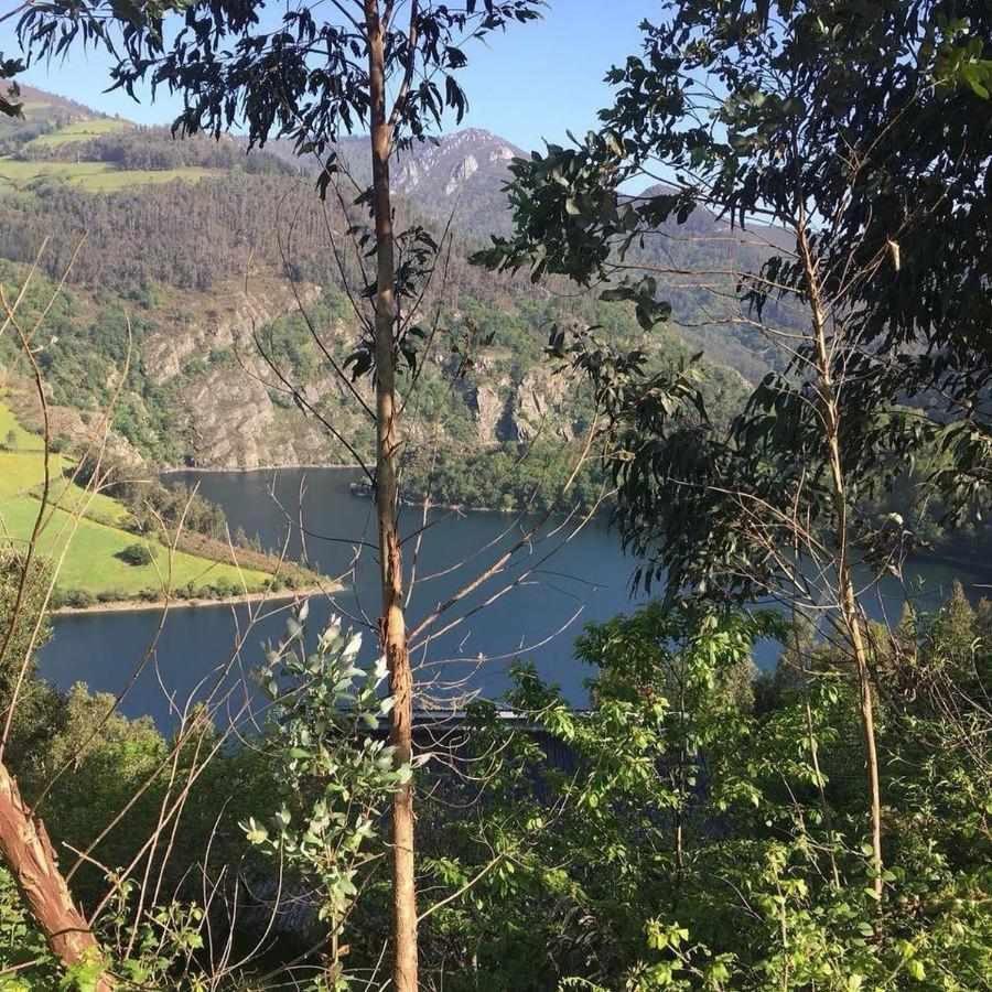 Apartamentos Rurales Los Mazos Boal Eksteriør billede